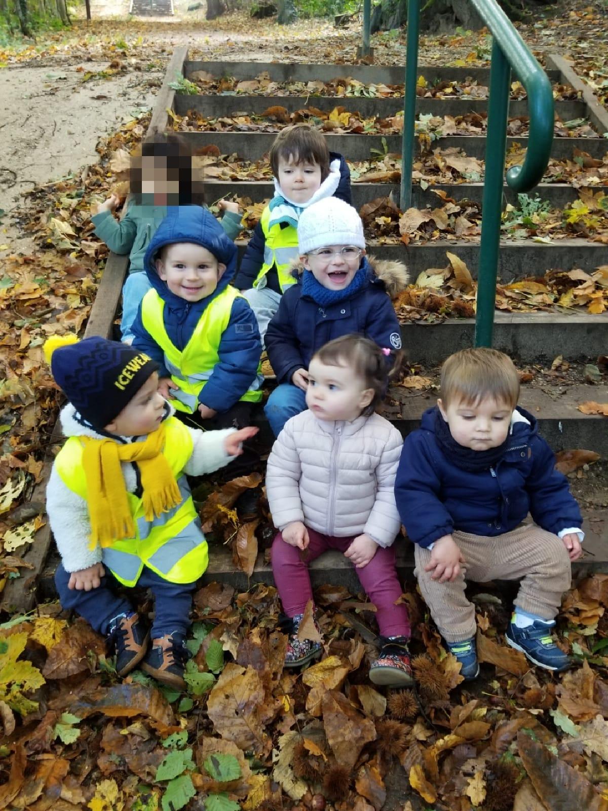 Balade en forêt